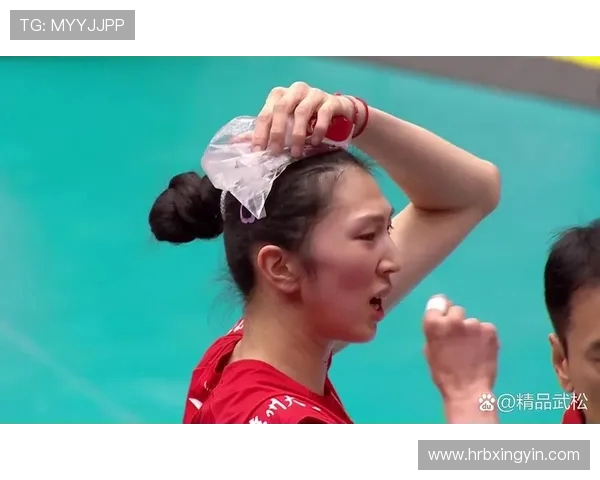 南京排球队实力强劲荣登全国排球力量排行榜第四名